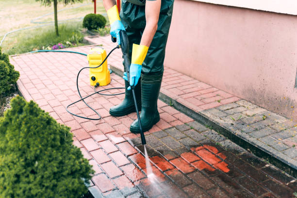 Best Fence Cleaning  in Friona, TX